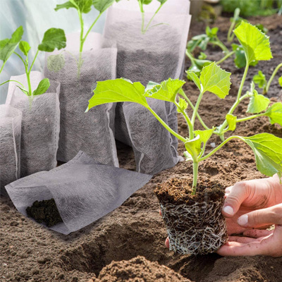 bolsas biodegradable para plantas de vibero